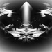 Leaf composite...