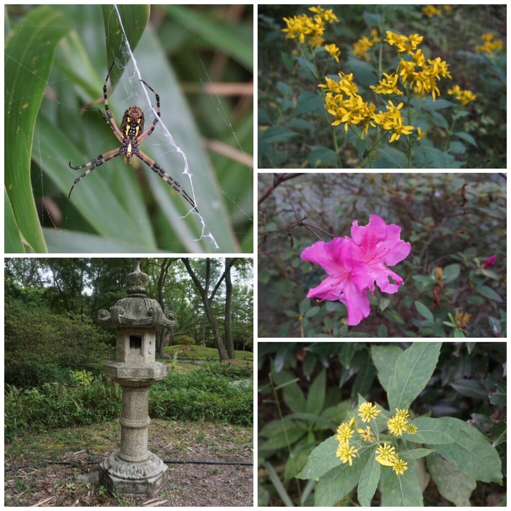 A Few Delights at Maymont by allie912
