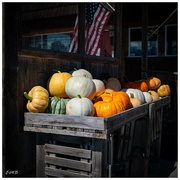 1st Oct 2023 - Autumn Harvest