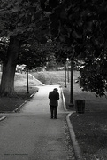 21st Sep 2023 - D264 "If you don't know where you are going, any road will get you there." - Lewis Carroll