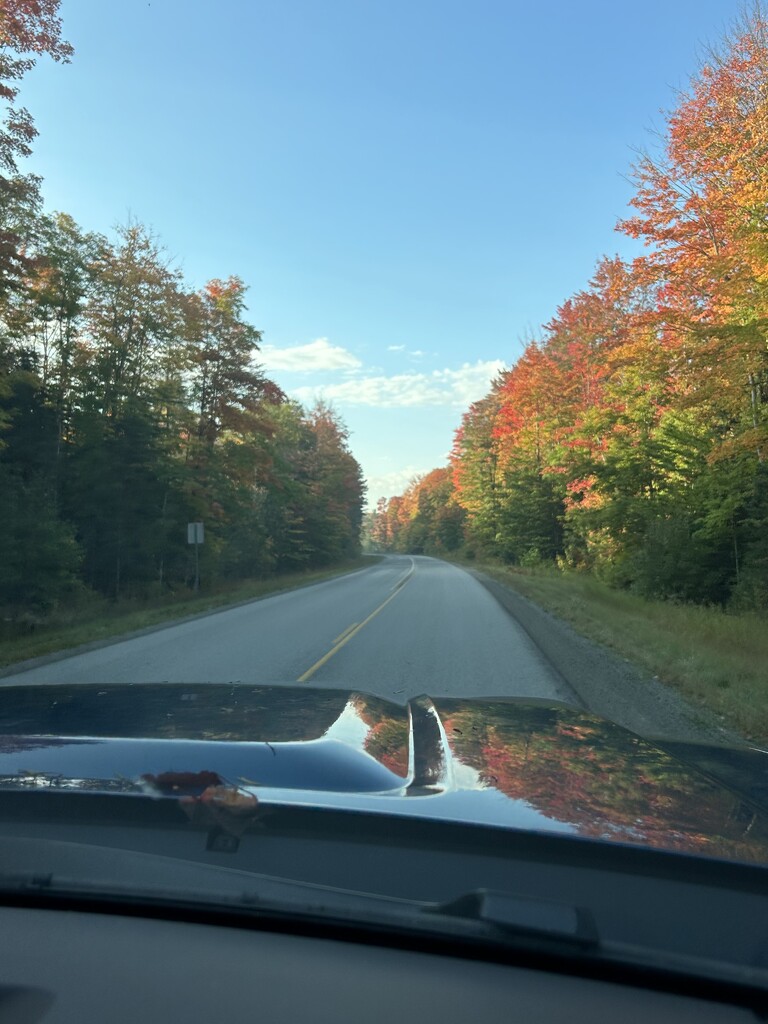 A beautiful fall drive by mltrotter