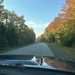A beautiful fall drive by mltrotter