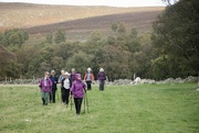 3rd Oct 2023 - Monday Walkers