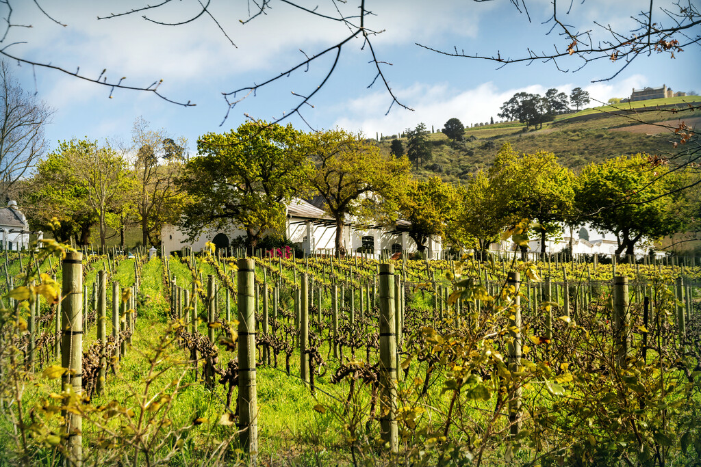 A house on the hill by ludwigsdiana