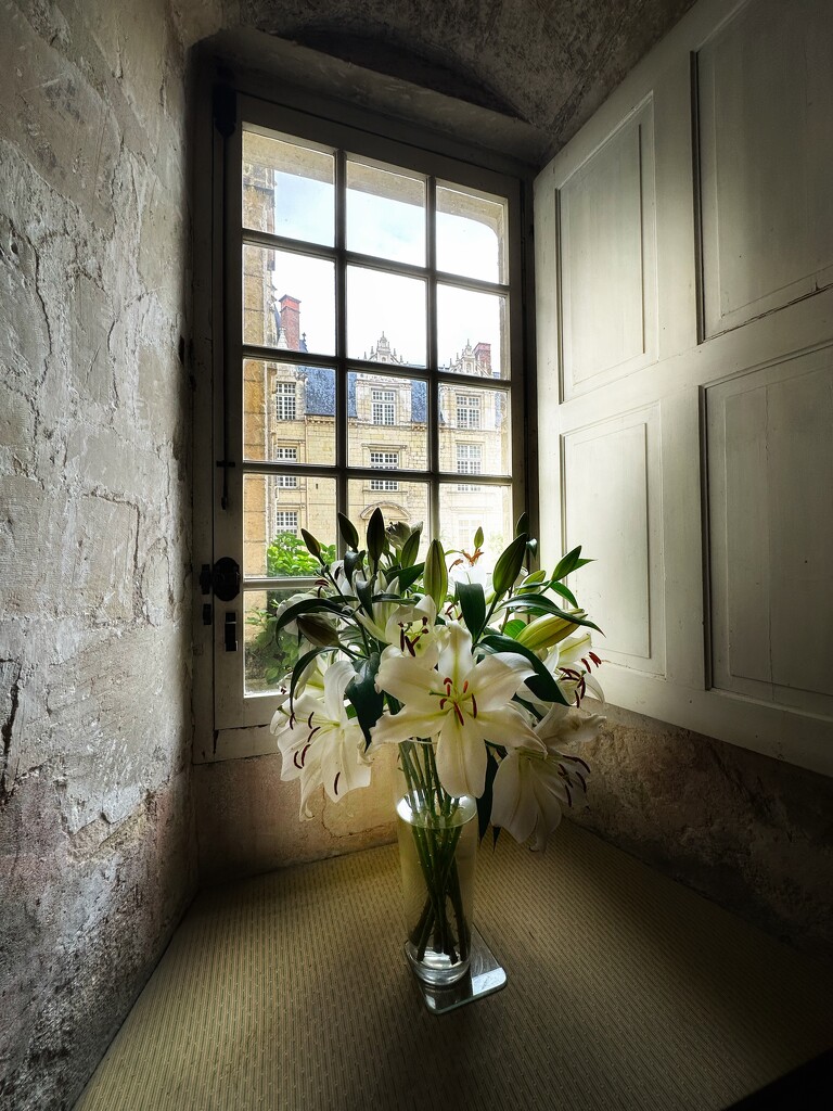 Lilies in the castle window by pusspup