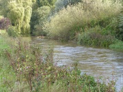 30th Sep 2023 - The River Otter, Devon