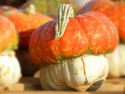 3rd Oct 2023 - Mushroom Pumpkin?