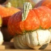 Mushroom Pumpkin? by grammyn