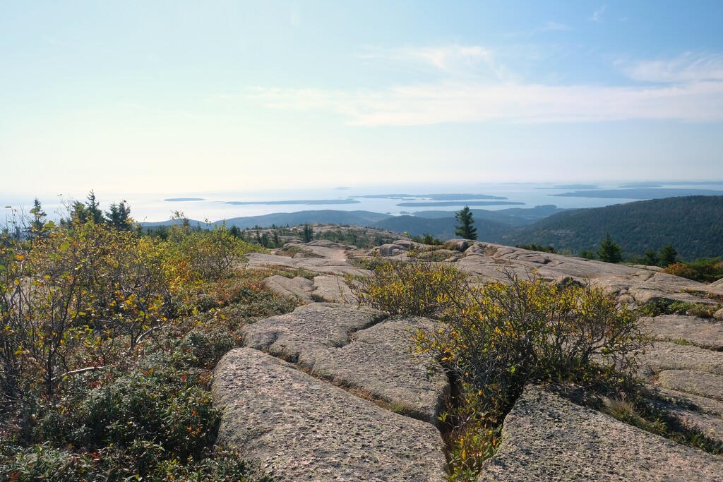 Cadillac Mountain - Landscape by lsquared