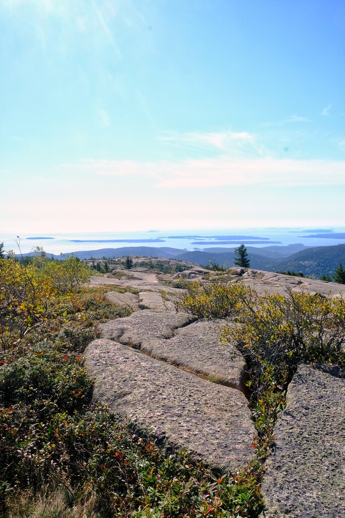 Cadillac Mountain - Landscape by lsquared