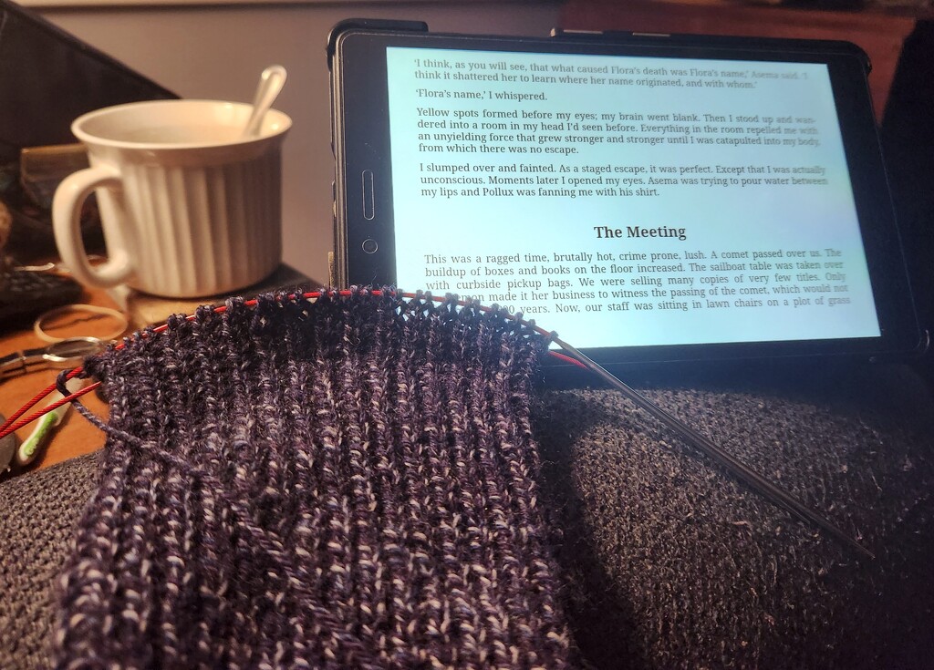 Soup, book and knitting  by randystreat