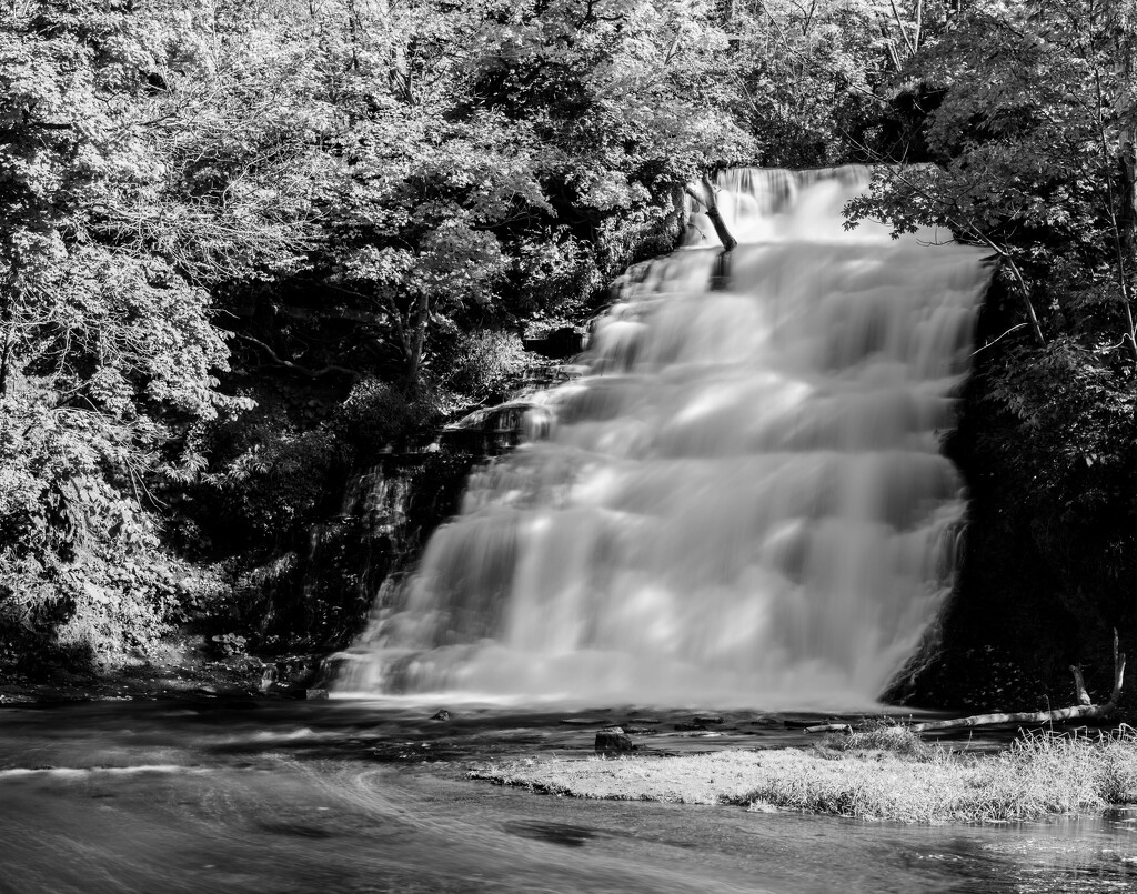 Holley Canal Falls by darchibald
