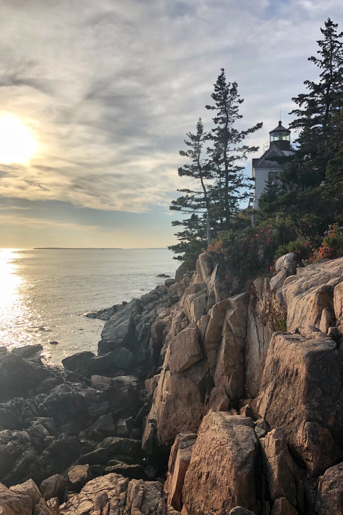 Bass Harbor Head Lighthouse, Maine by lsquared