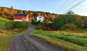 4th Oct 2023 - Morning in Andorsrud, Skoger
