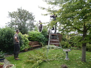 4th Oct 2023 - Tree Trimming 