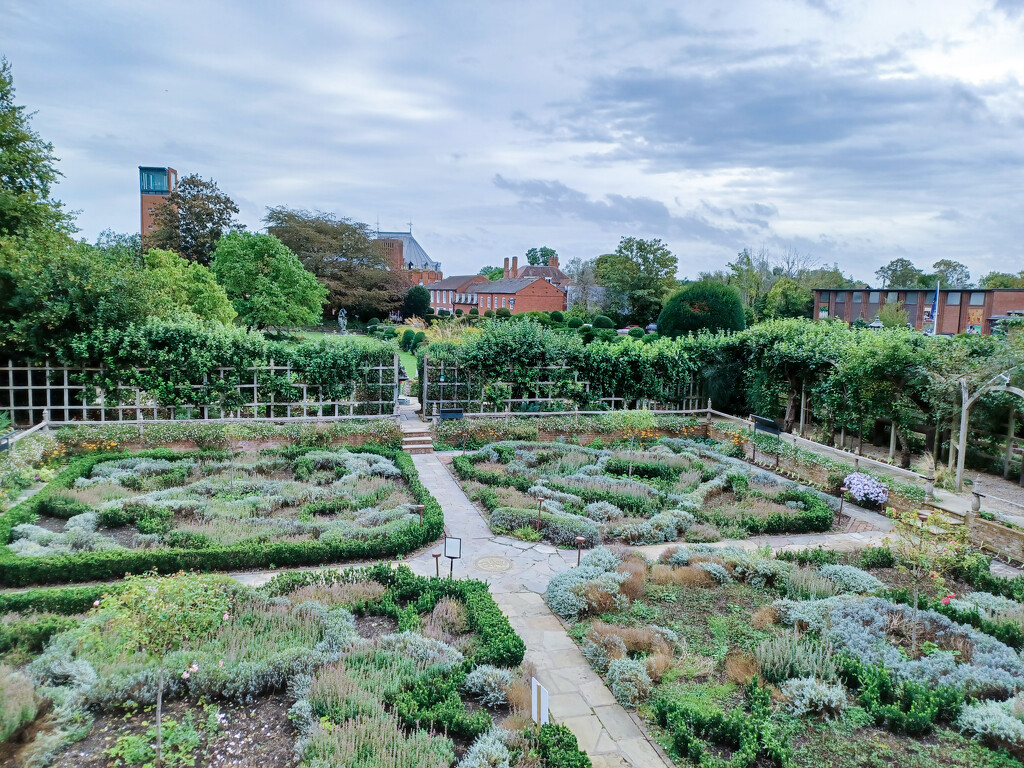 Shakespeare's garden by busylady