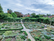 4th Oct 2023 - Shakespeare's garden