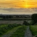 Sunset Ridge by carole_sandford