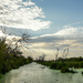 Baker Wetlands, 10-3-23 by kareenking