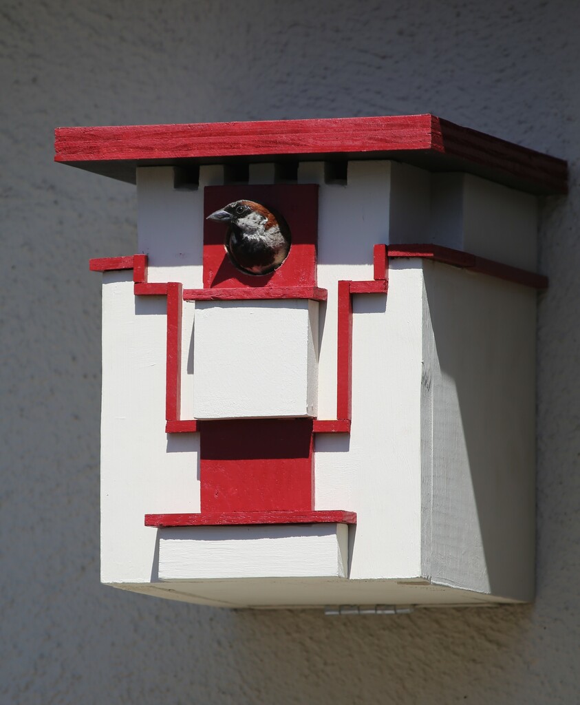 flw bird house by ellene