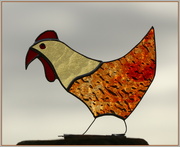 5th Oct 2023 - My new hen