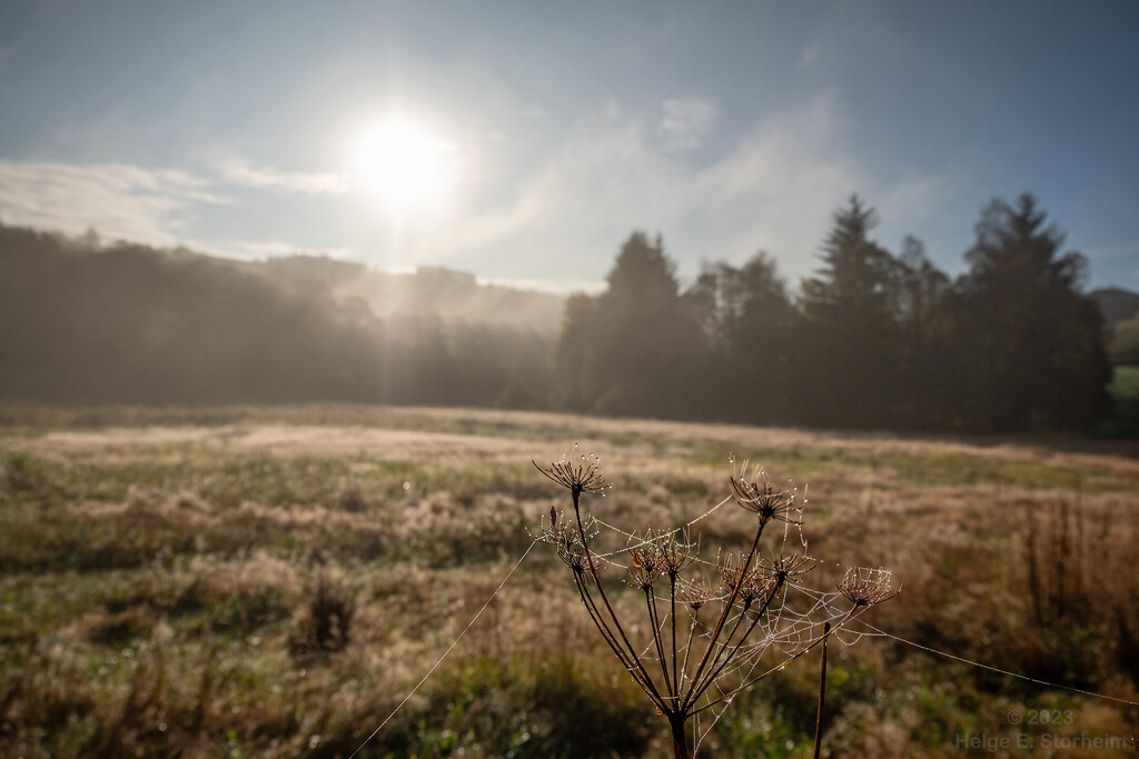 Misty morning by helstor365