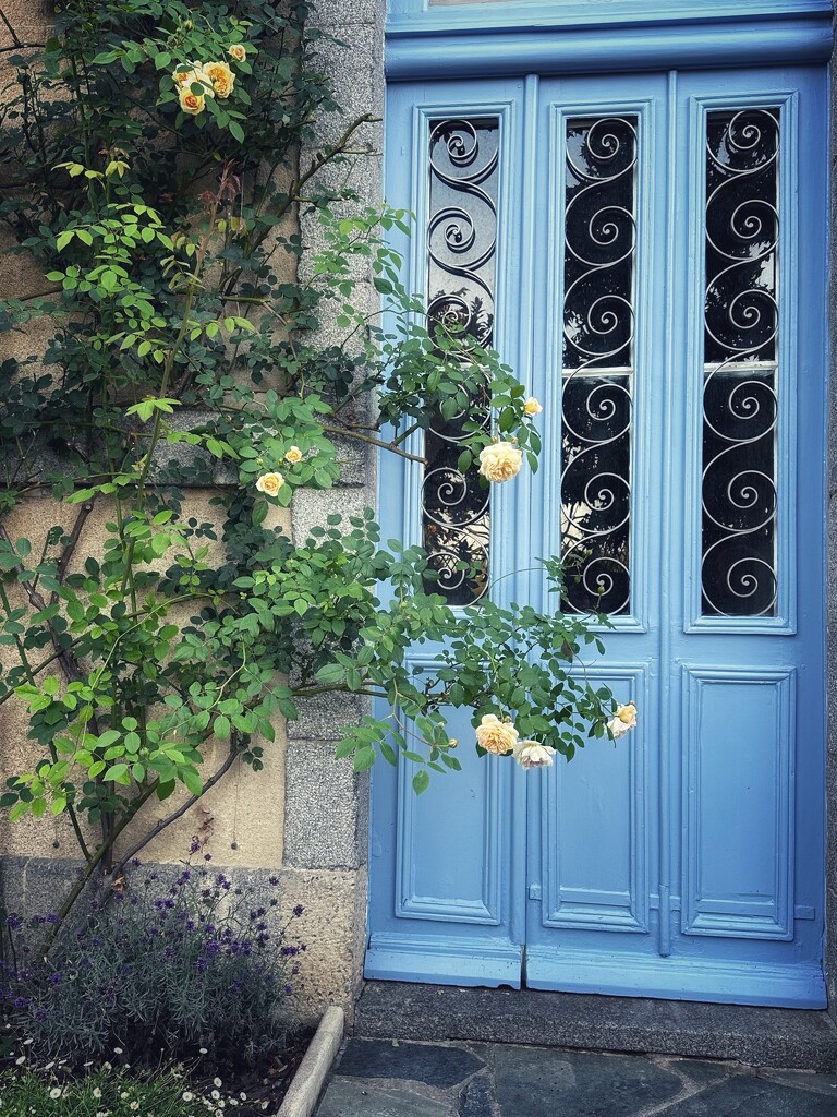 One of the lovely doors by pusspup