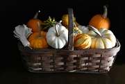 5th Oct 2023 - Pumpkins And Gourds