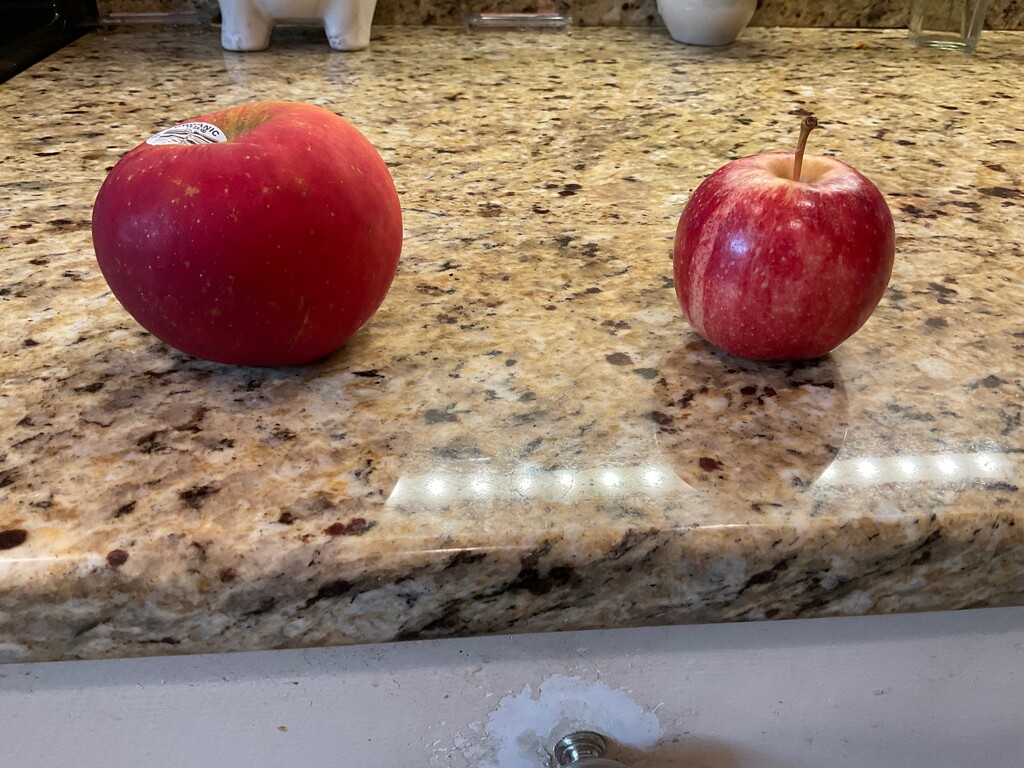Apple and Panera Apple by allie912