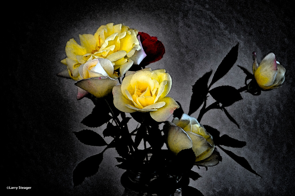 Still life roses watercolor artistic by larrysphotos