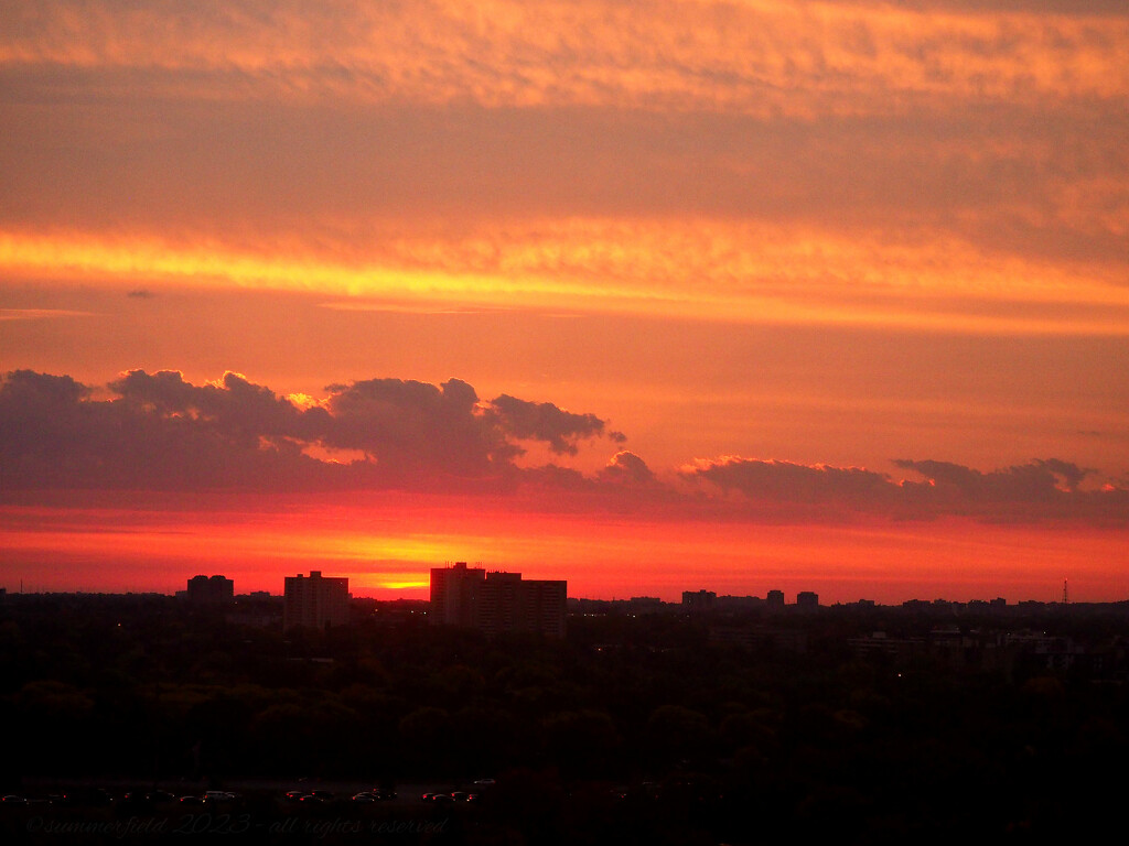 the view from my bedroom window by summerfield