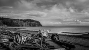 5th Oct 2023 - Driftwood, Lily Point Beach, Point Roberts