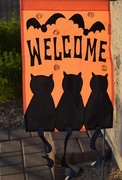4th Oct 2023 - 10 4 Halloween welcome flag