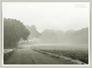 6th Oct 2023 - Misty Autumn Morning
