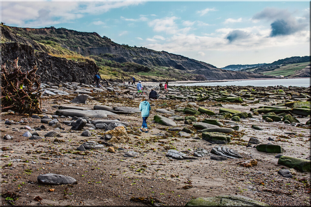 Searching for fossils - Best time ever by 365projectorgchristine