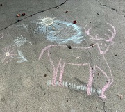 3rd Oct 2023 - Sidewalk Chalk