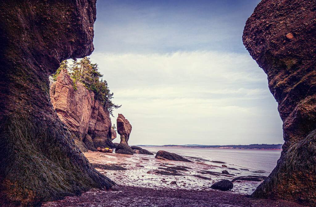 Hopewell Rocks by pdulis