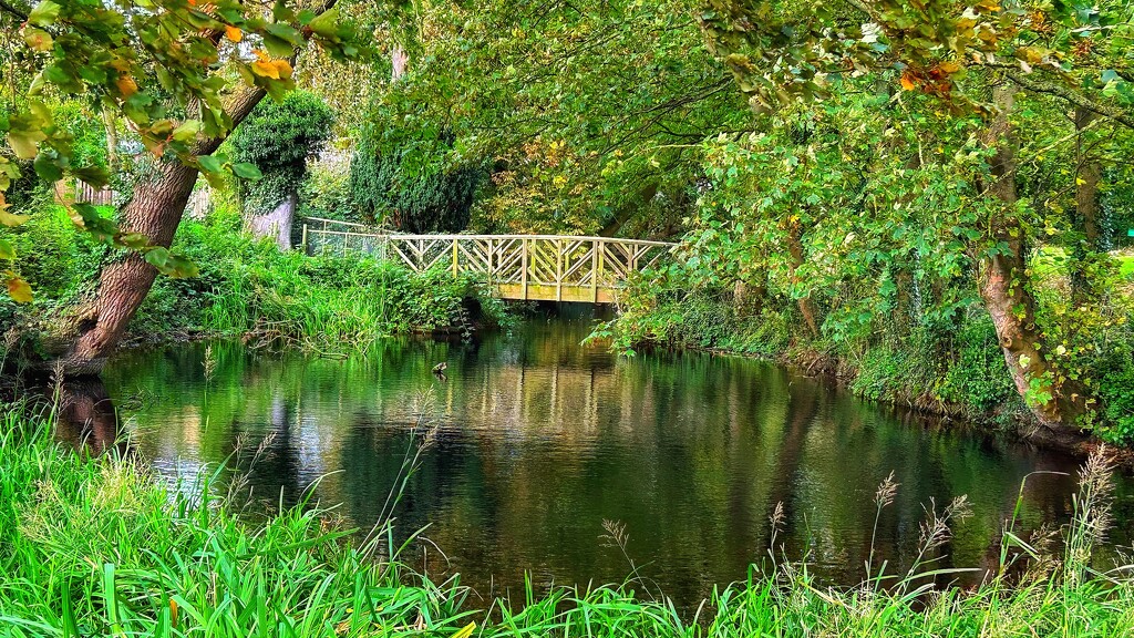 Wooden Moat Bridge by carole_sandford
