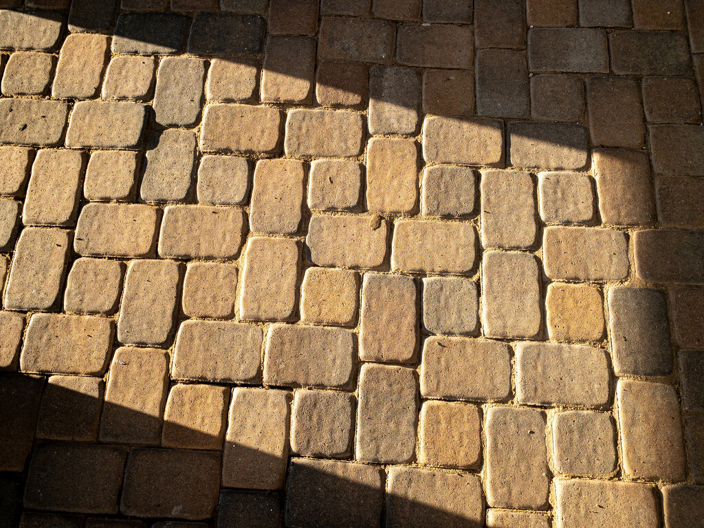 Another brick in the floor by jeffjones