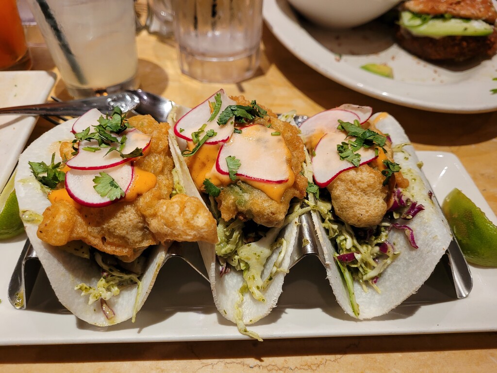 Fried avocado tacos by scoobylou