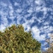 Clouds over the Cedar  by spanishliz