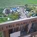 Fairy garden meets free library by scoobylou