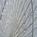Ferris Wheel Spokes  by sfeldphotos