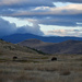 Early Morning On The Bison Range by bjywamer