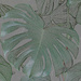  Split leaf philodendron artistic by larrysphotos