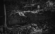 6th Oct 2023 - Dappled ruins