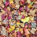 October carpet by ljmanning