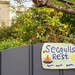 Silly Seagull Sign by will_wooderson