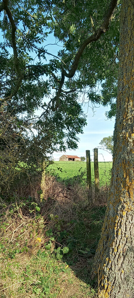 Favourite Barn by 365projectorgjoworboys