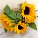 Sunflowers by beryl